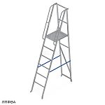 Лестница-платформа фиксированной высоты с шипами ЛПФВА Н=1,5-1